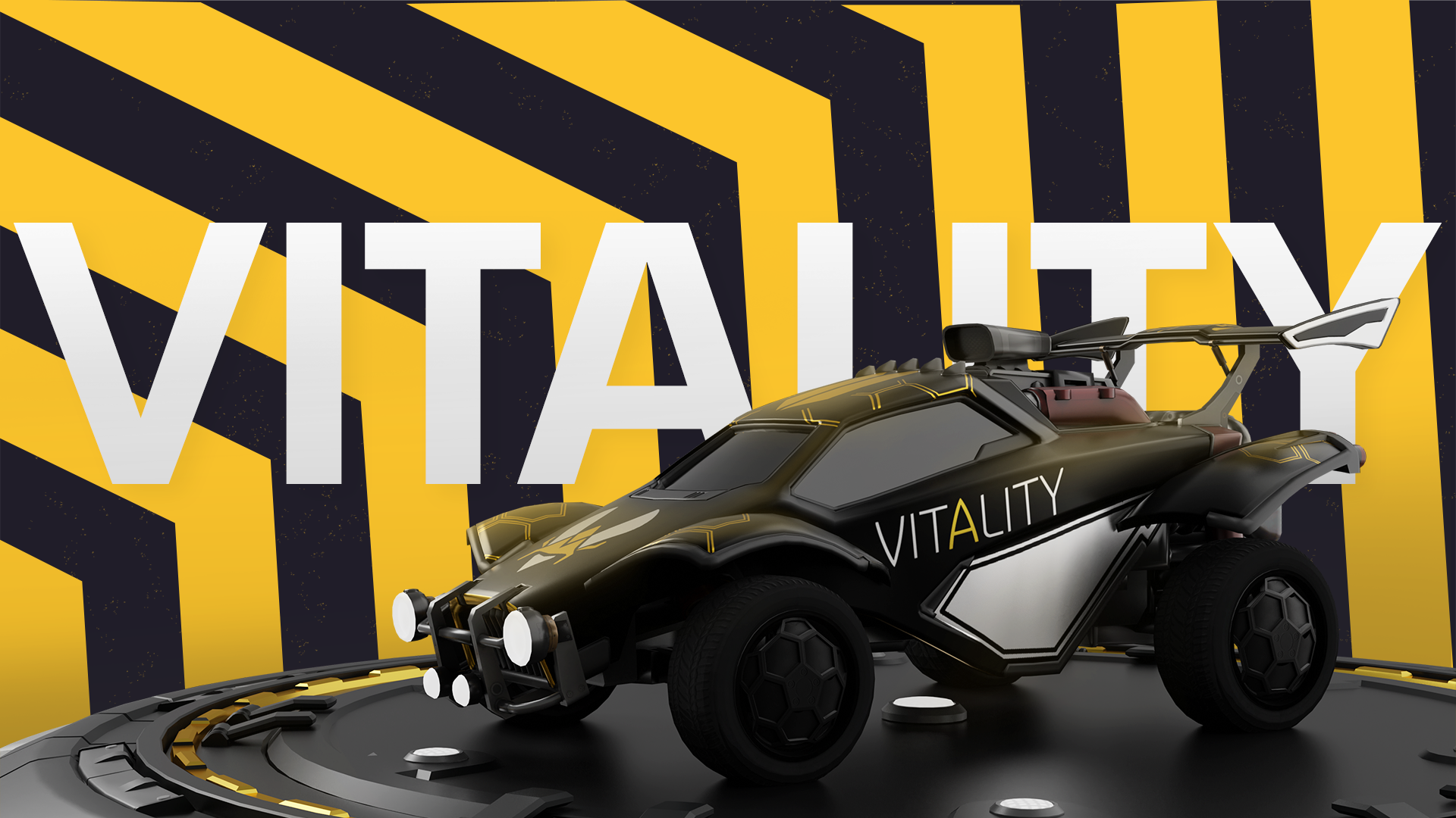 Esports Team Profile: Team Vitality