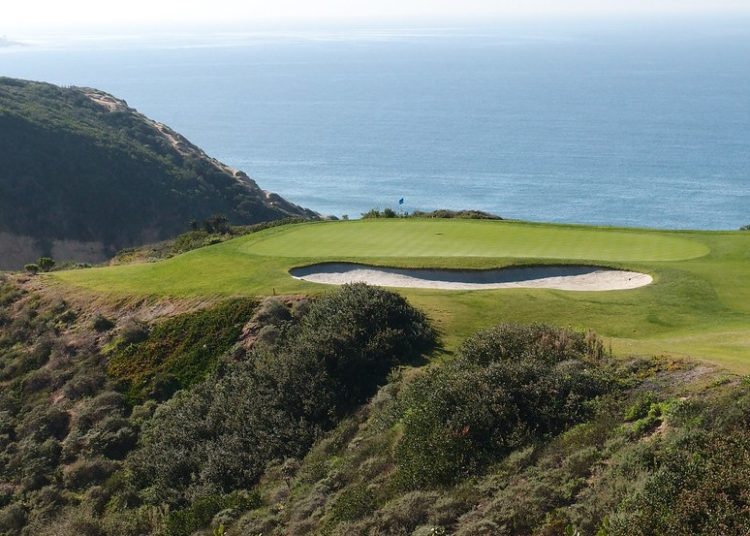 US Open 2021 Betting Guide (Torrey Pines) – Odds & Tips