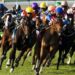 Royal Ascot 2026 Guide: UK Betting Tips, Ante-Post & In-Running