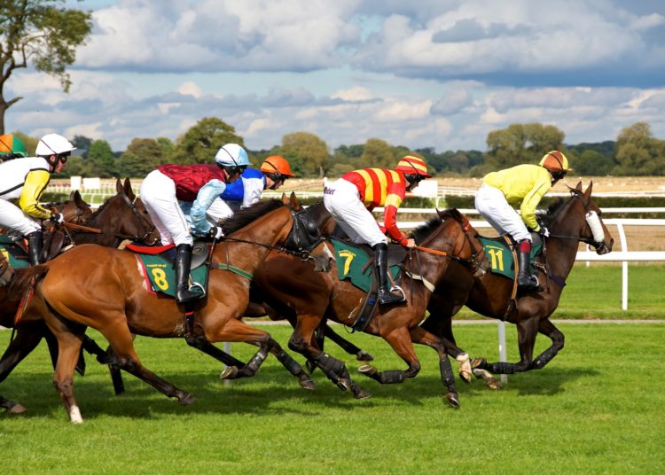ROYAL ASCOT: BOOKMAKERS REVEAL ODDS ON WHAT COLOUR HAT THE QUEEN WILL WEAR