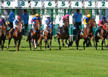 A Plus Tard dominates ahead of Cheltenham Festival Gold Cup