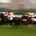 Shiskin vs Energumene: Expert Clarence House Chase Preview & Cheltenham Betting Tips