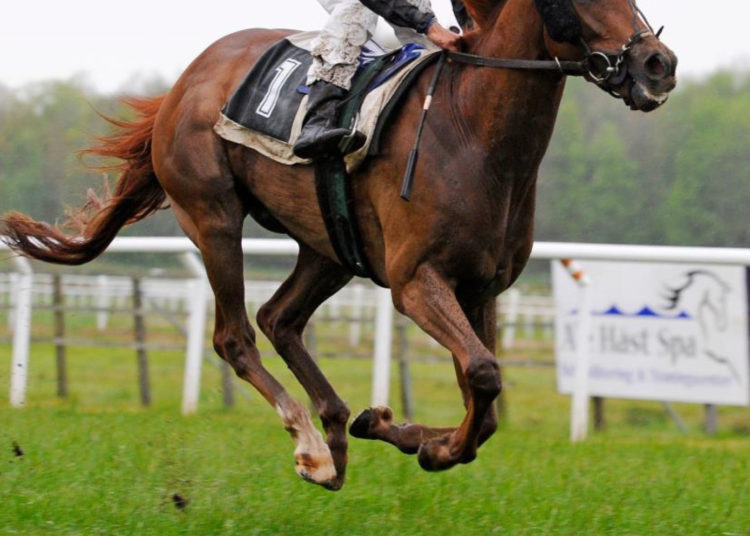 2022 Flat Jockeys Championship Odds & Analysis – Buick Favourite After Murphy Ban