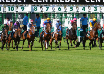 Cheltenham Festival bookmakers reveal which members of the royal family will be in attendance