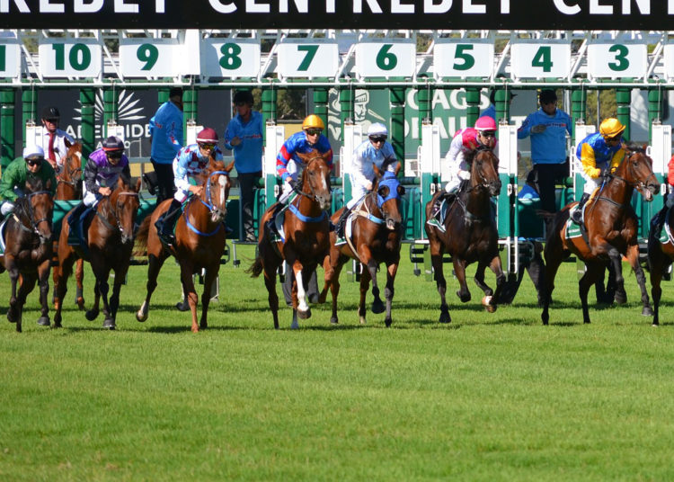 Cheltenham Royal Box 2026: Likely Attendees & Betting Odds