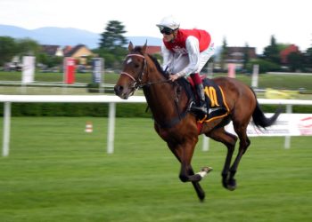 Scottish Grand National 2022 preview