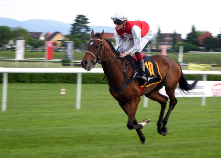 Coral Scottish Grand National 2022 Preview & Betting Tips – Ayr Form Guide