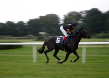 Tips for the Scottish National 2022