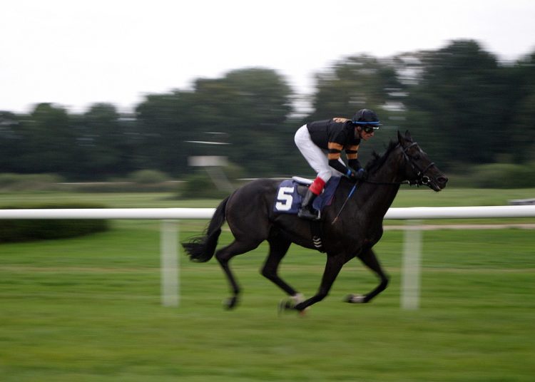 Cheltenham Gold Cup: Narrow Down Runners – Age, Weight & Form Checklist