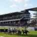Cheltenham Festival Ante-Post Guide & Betting Tips