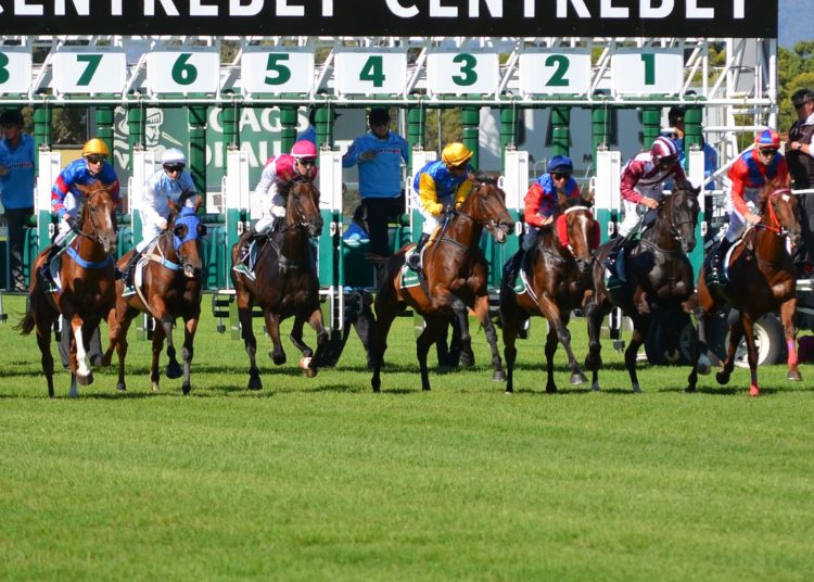 Scottish Grand National 2026 Ante-Post Tips & Best Bets