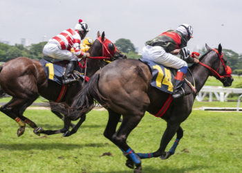 Cheltenham Festival 2022 Best of Bets outsiders