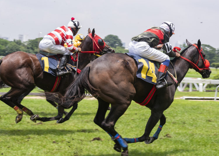 Cheltenham Festival Outsiders: Value Betting & Each-Way Tips