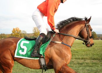 Derby Festival outsider picks