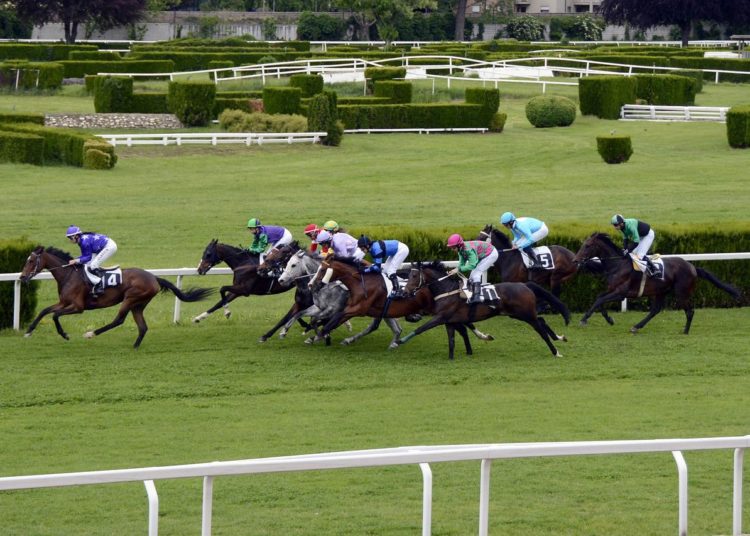 York 3.40 (June 11) Sprint Guide & Betting Tips – Atomic Lady, Form, Draw & Pace