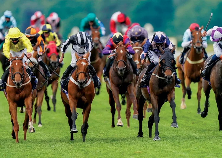 Royal Ascot 2022 preview: International runners to watch
