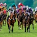 Royal Ascot 2022 preview: International runners to watch
