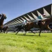 Royal Ascot 2024: Expert Betting Guide, Tips & Value Bets