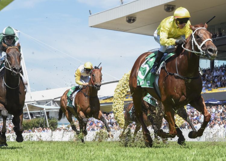 Shadow Rigging Supports Handicap (7f) Race Preview & Tips