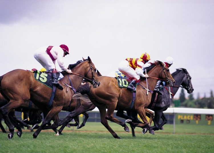 Royal Meeting Race-by-Race Preview & Tips | Expert UK Betting Guide