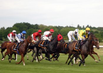 horse racing, punts