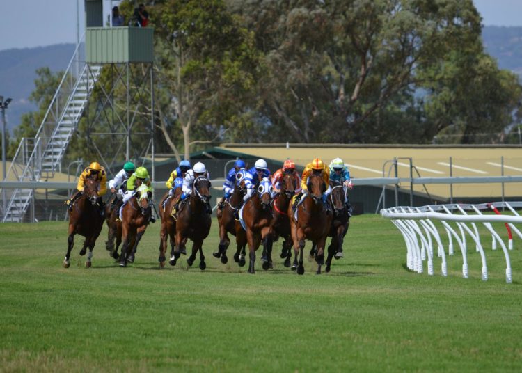 Goodwood Cup & Vintage Stakes: Form, Tactics & Betting Value