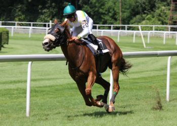 Glorious Goodwood – who are the biggest threats for the bookmakers?  