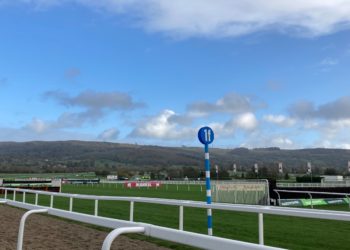 Festival Focus: Handicap Hurdles