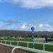 Cheltenham Festival Handicap Hurdle Tips & Analysis | Coral Cup, Pertemps Final, County Hurdle & Martin Pipe