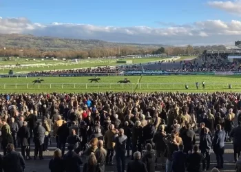 Cheltenham, Horse Racing