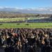 Cheltenham, Horse Racing
