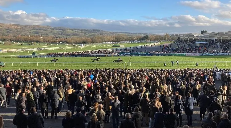 Cheltenham, Horse Racing