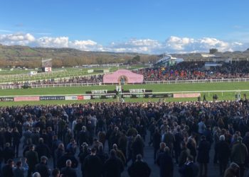 Cheltenham Day 1
