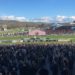 Cheltenham Day 1