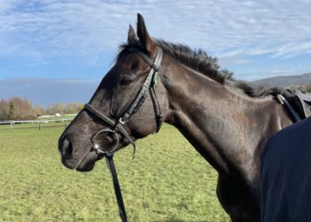 Galopin Des Champs field