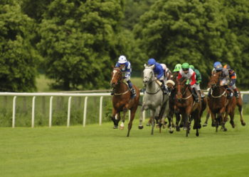 Coral-Eclipse Day Selections