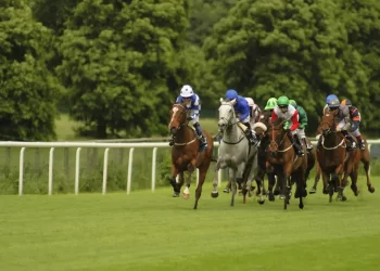 Coral-Eclipse Day Selections