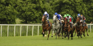 Coral-Eclipse Day Selections