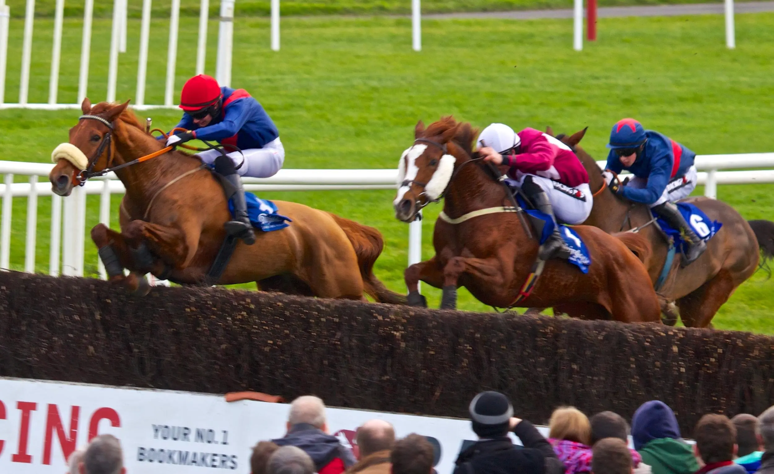 Punchestown Festival