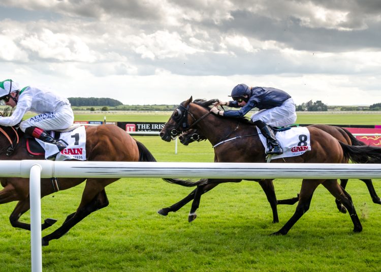 Haydock & Saturday Classics: Temple, Heritage & Guineas Tips