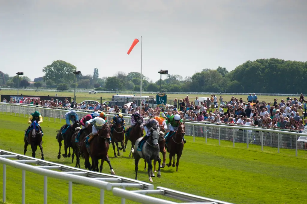 Newmarket Cambridgeshire Meeting