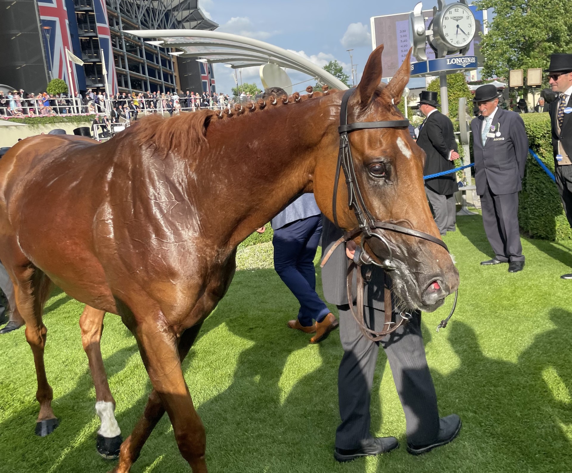 Royal Ascot Day 5