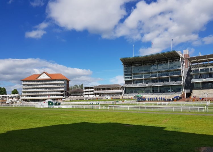 York & Sandown Weekend Racing Tips: Firm-Ground Picks