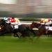 Royal Ascot Day Five: Final Day Tips & Betting Guide