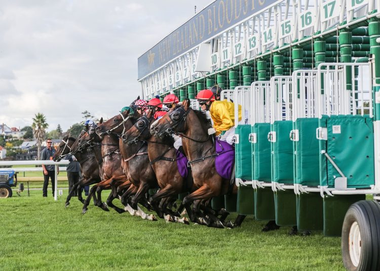 York Dante Festival Day 3