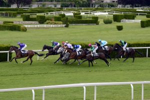 The Best 20 Horse Races of All Time for Betting