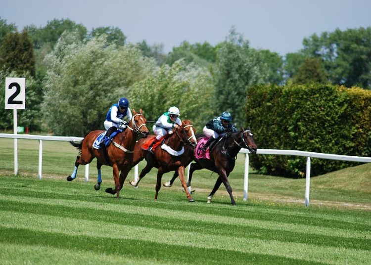 Royal Ascot Day Three: Selections and Naps