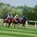 Royal Ascot Day 3: Tips, Race-by-Race Analysis & Eldar Eldarov NAP