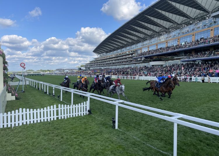 Royal Ascot Day 3 Betting Guide: Coltrane, Bless & Toimy Son
