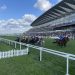Royal Ascot Day 3 Betting Guide: Coltrane, Bless & Toimy Son